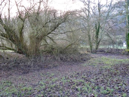 Newmill Bridge CrPrk Fence7 3.12.19