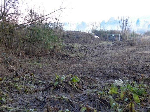 Newmill Bridge CrPrk Fence9 3.12.19