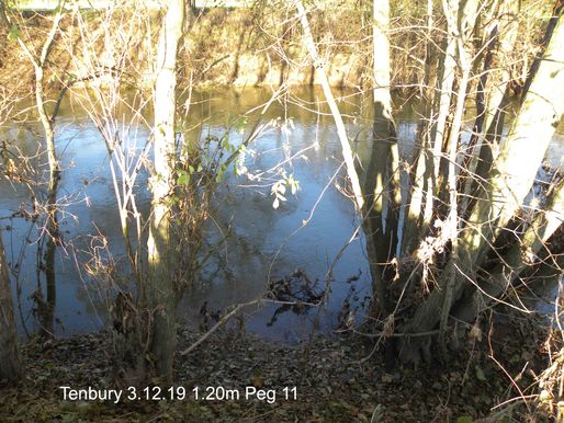 Tenbury 11a 3.12.19 1.2m