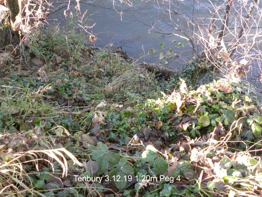 Tenbury 4a 3.12.19 1.2m