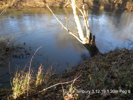 Tenbury 9c 3.12.19 1.2m